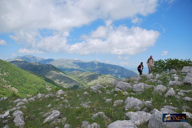 passeggiando tra le orchidee.JPG